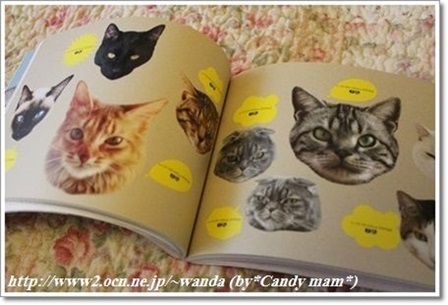 猫ネコ素材集