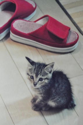 merci baby w slippers