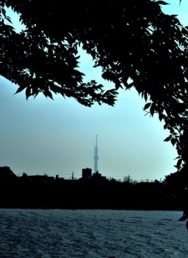 skytree over the river