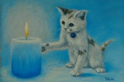 kitten w blue candle