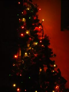 我が家のクリスマスツリー１