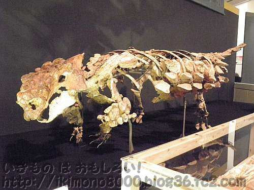 タルボサウルスがいないのに重装甲のサイカニア