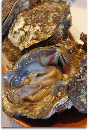岩牡蠣。