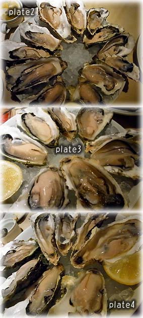 oyster2-4.jpg