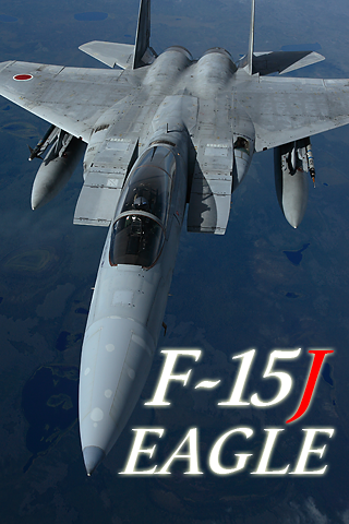 F15.png