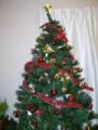 クリスマスツリー101123_convert_20101124000028