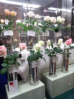 京都生花の営業社員 歳時報告 静岡県 やぎばら園のバラ展示