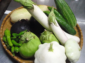 館山野菜
