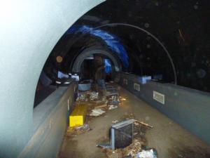 トンネル水槽①