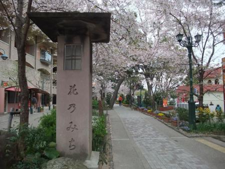 花の道・桜