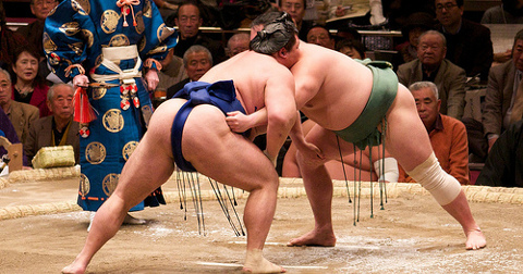 catch_sumo.jpg