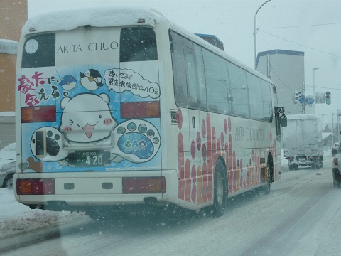 バス01
