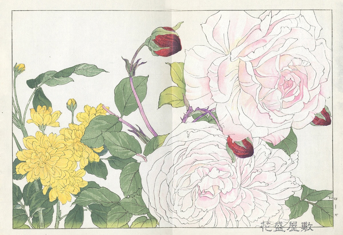 谷上廣南筆『西洋草花図譜』 | Antique Botanical Printに描かれた日本 
