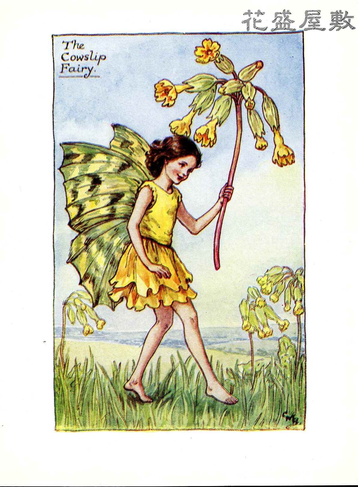 シシリー・メアリー・バーカー「花の妖精」 | Antique Botanical Print 