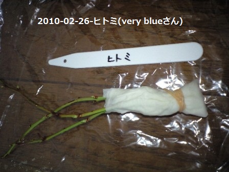 2010-02-26-ﾋﾄﾐ穂木(very blueさん)