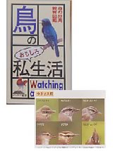 bird_book[1]