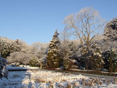 20120124雪2