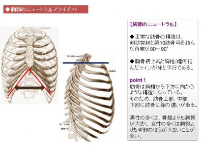 胸郭のニュートラルアライメント