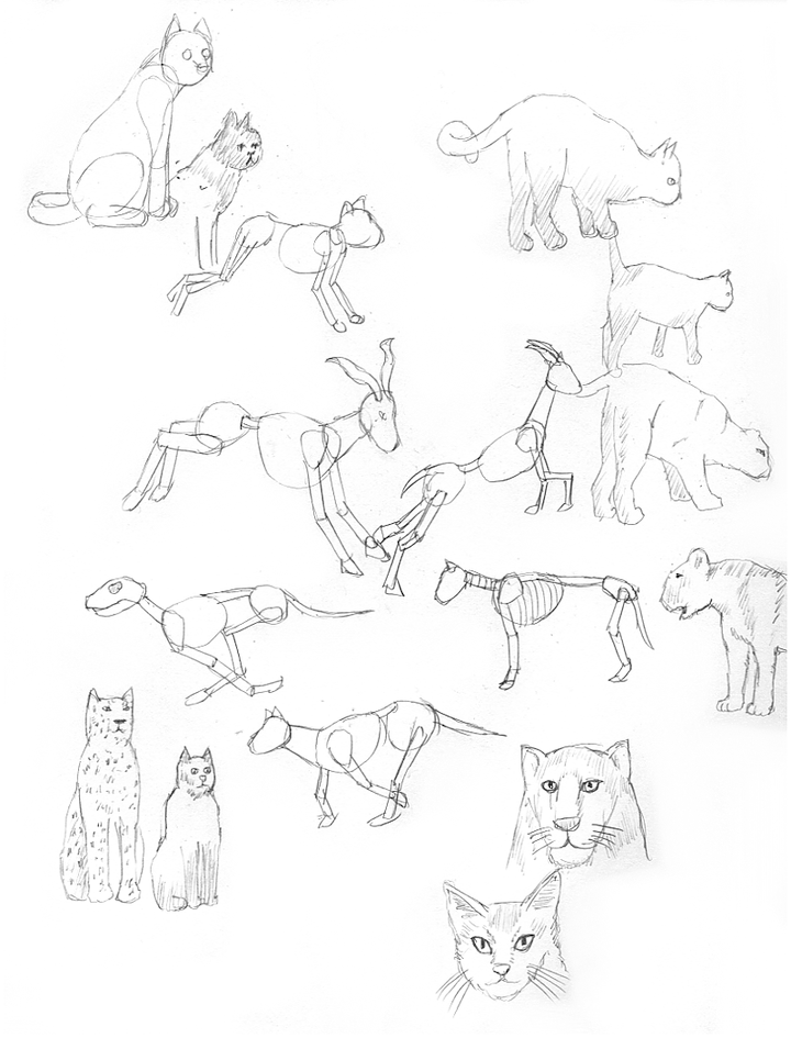 動物の描き方 で虎などを描く練習 ミリタリーな人 物 他の色々な物を描くためのブログ
