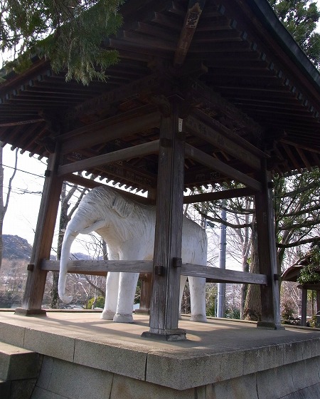 130221飯能観音寺謎の白い象