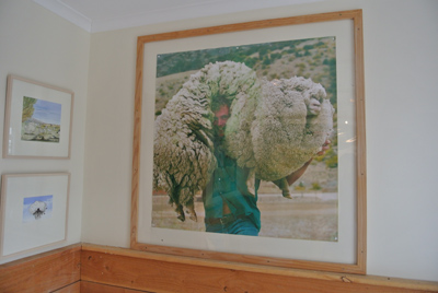 羊の国のラブラドール絵日記シニア!!「ケンカのワケは」写真日記1