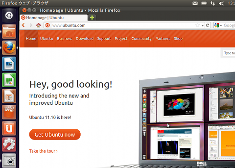 Ubuntu 11.10 インストール